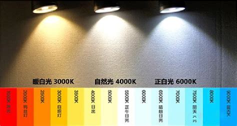 DW vs TW Strip Lights: Key Differences&nbsp;Explained